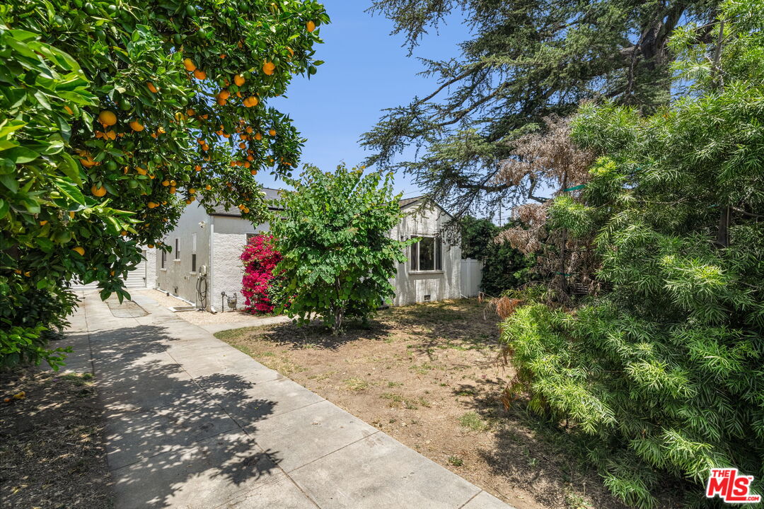 Property photo 47