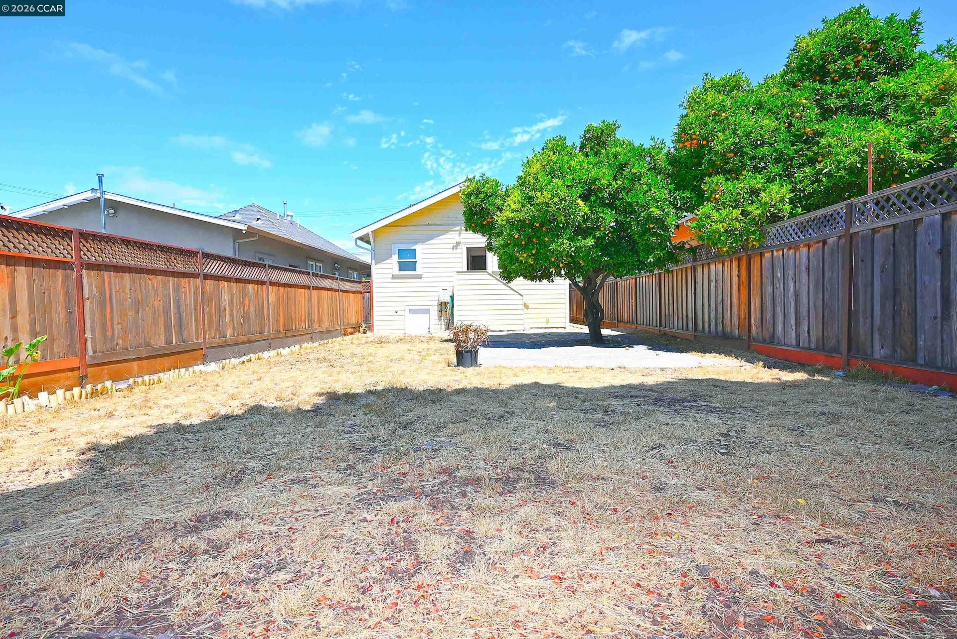 Property photo 39