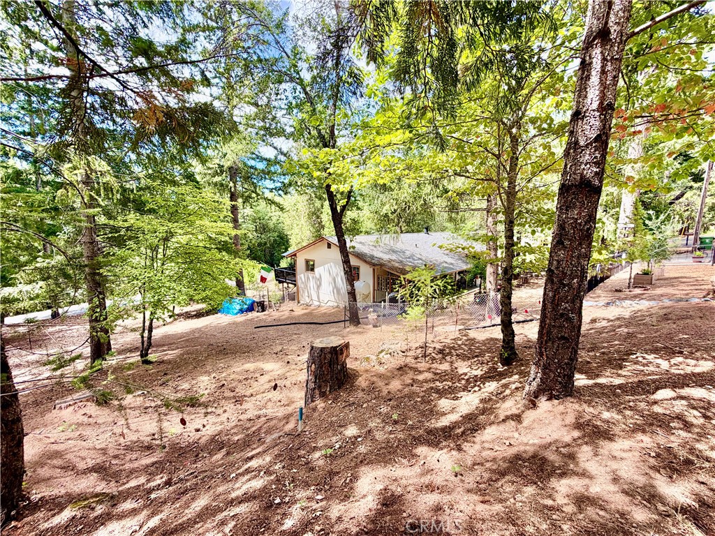 Property photo 41