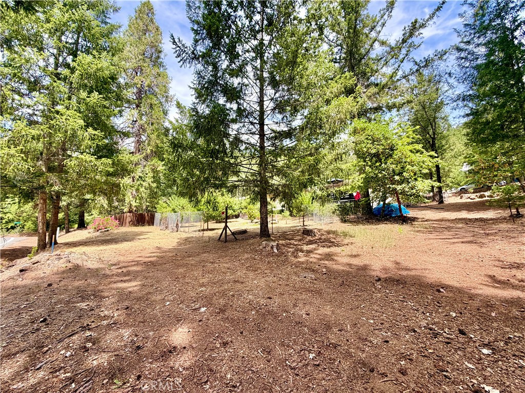 Property photo 45