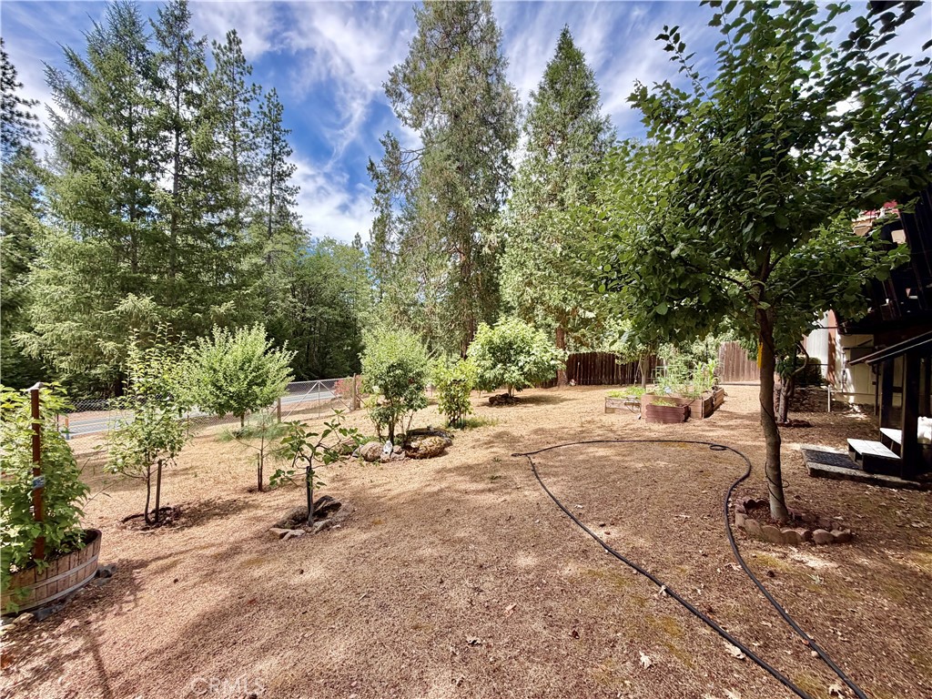 Property photo 46