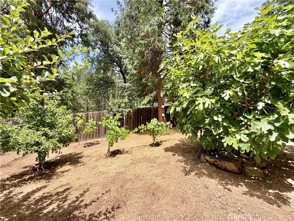 Property photo 48
