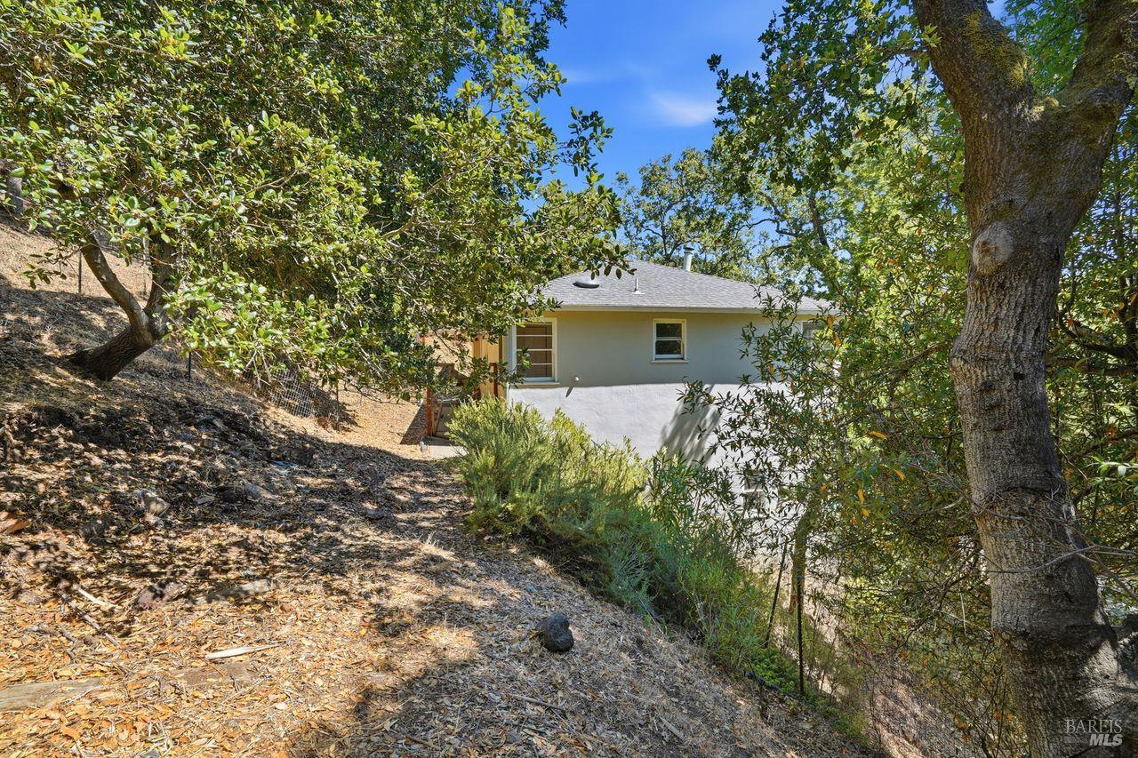 Property photo 46