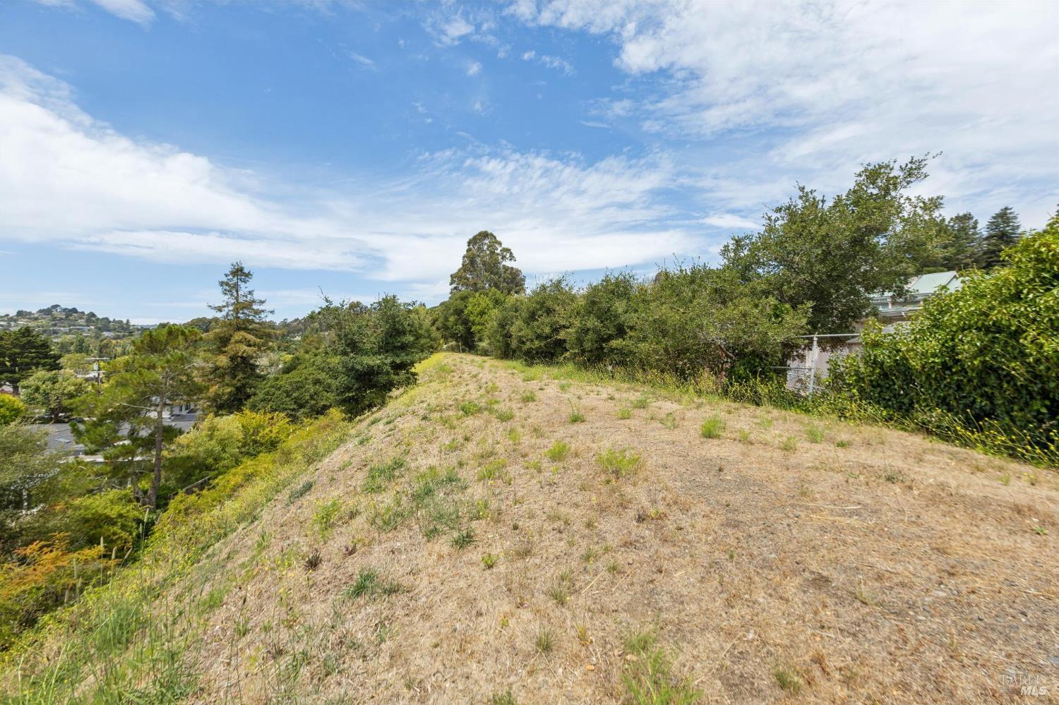 Property photo 49