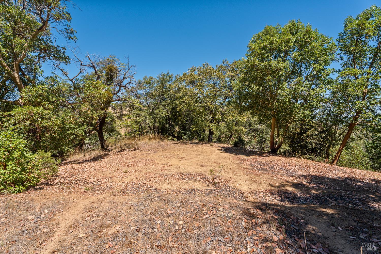 Property photo 29
