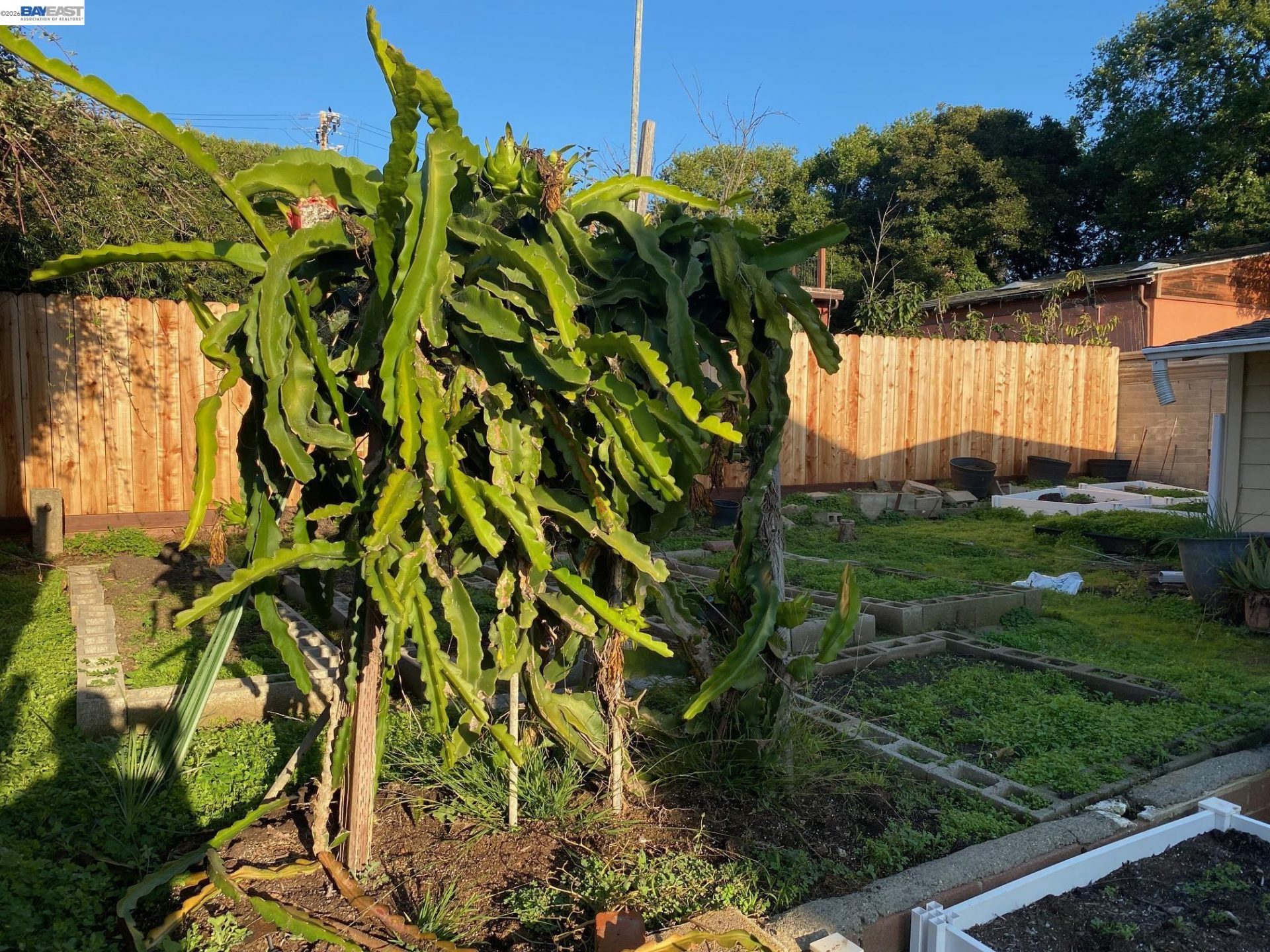 Property photo 22