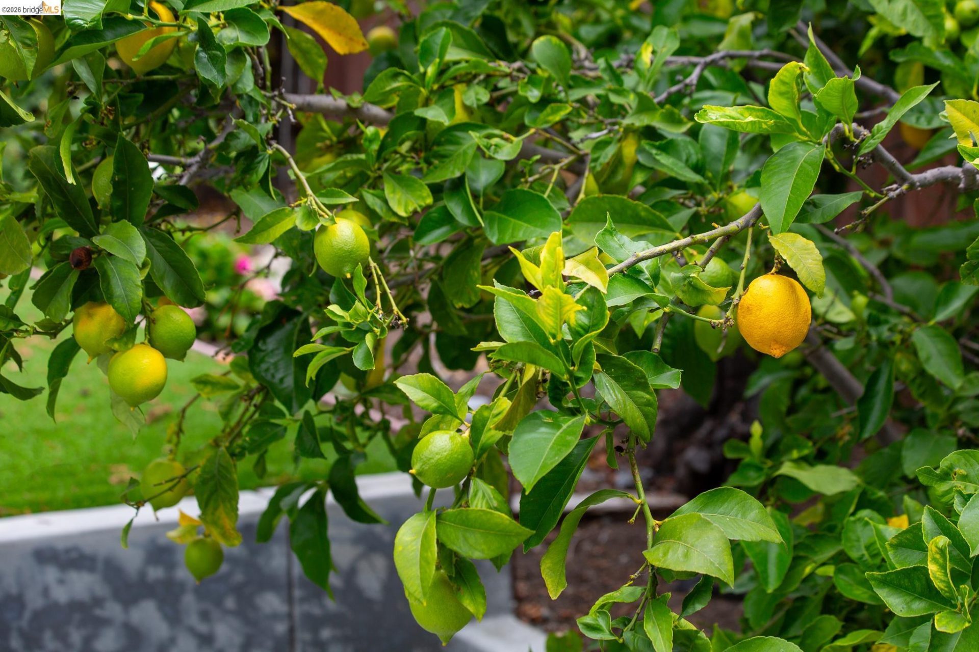 Property photo 40