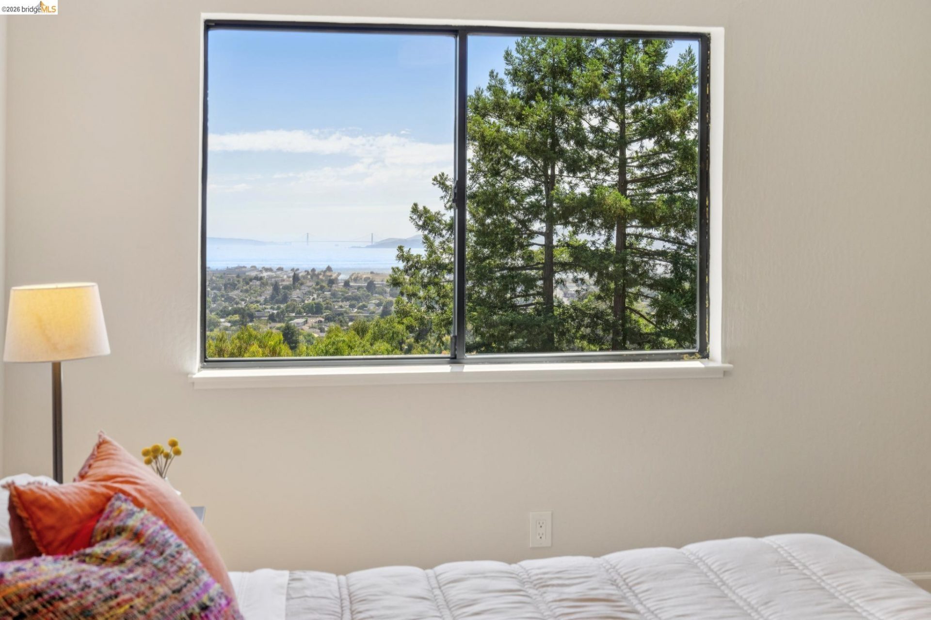 Property photo 46