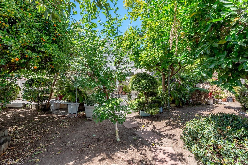 Property photo 48