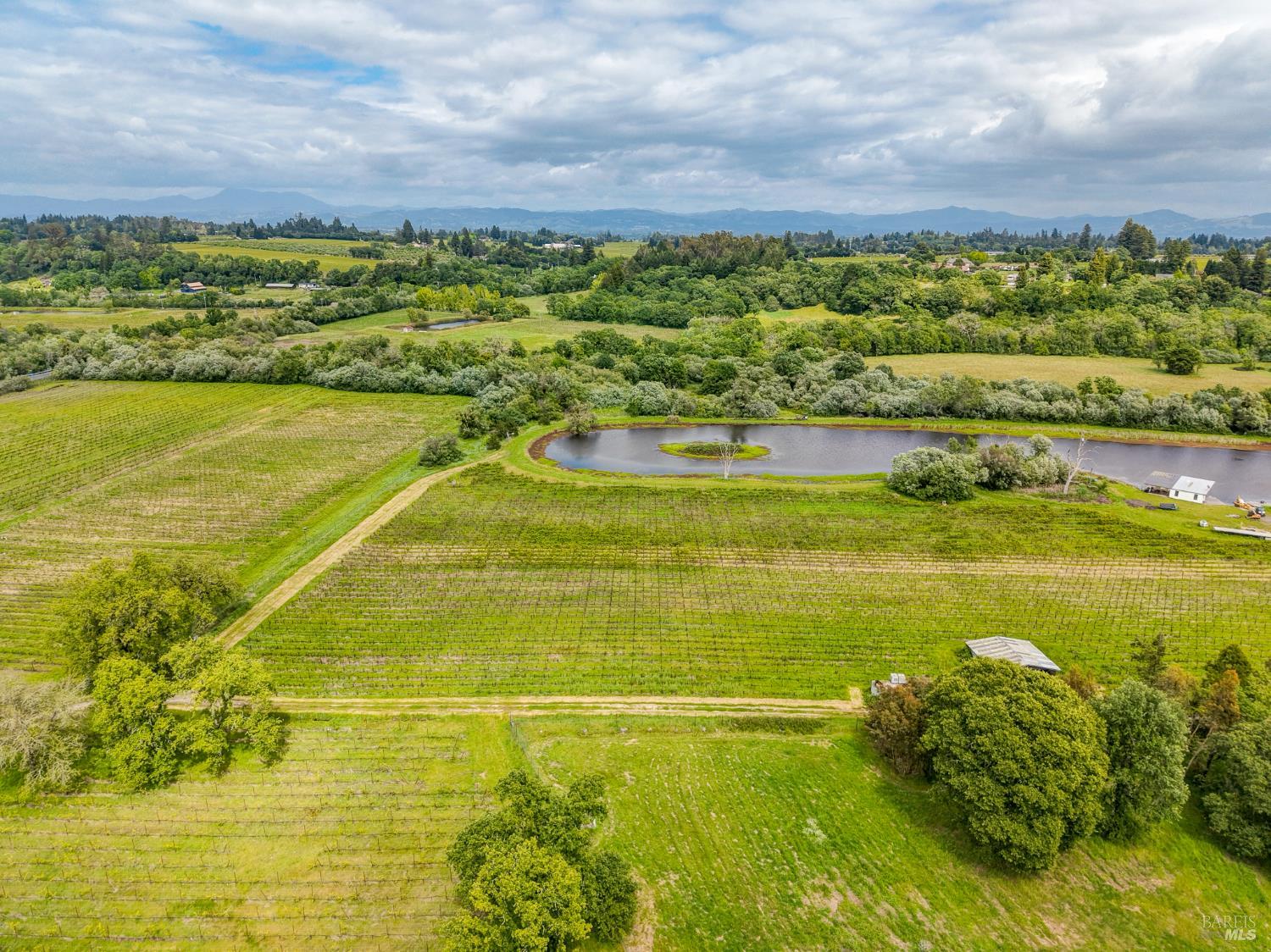 Property photo 23