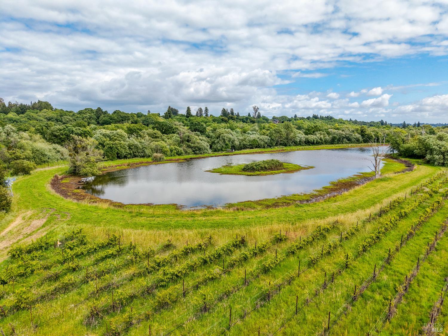 Property photo 39