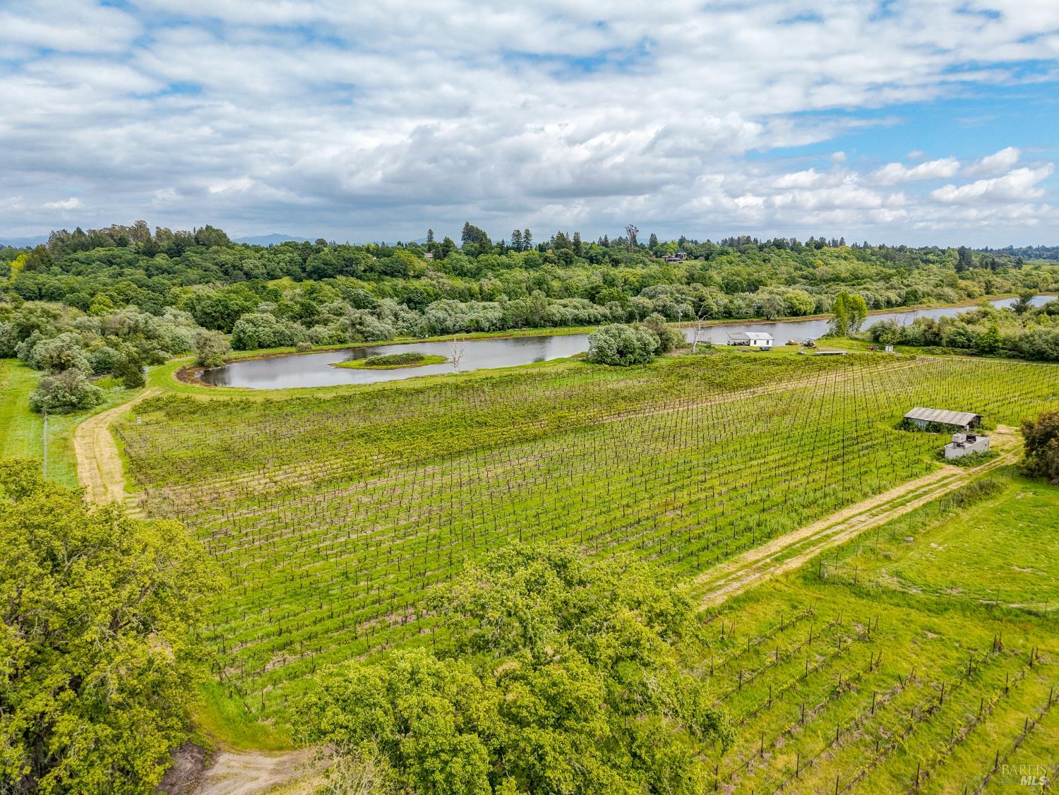 Property photo 42