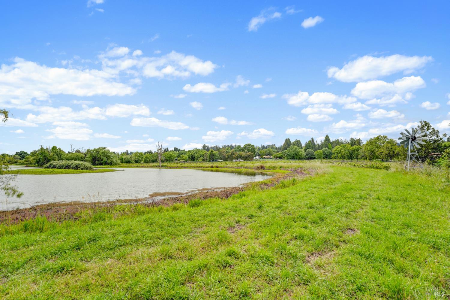 Property photo 46