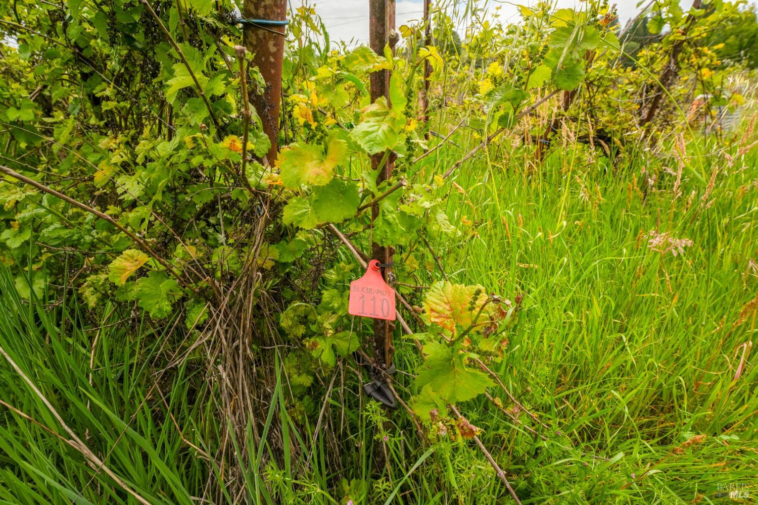 Property photo 49