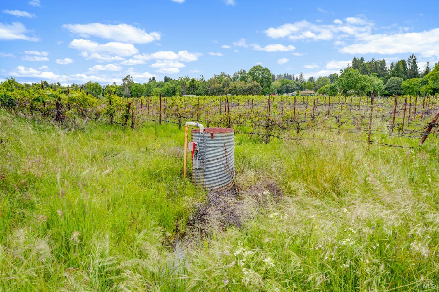 Property photo 50
