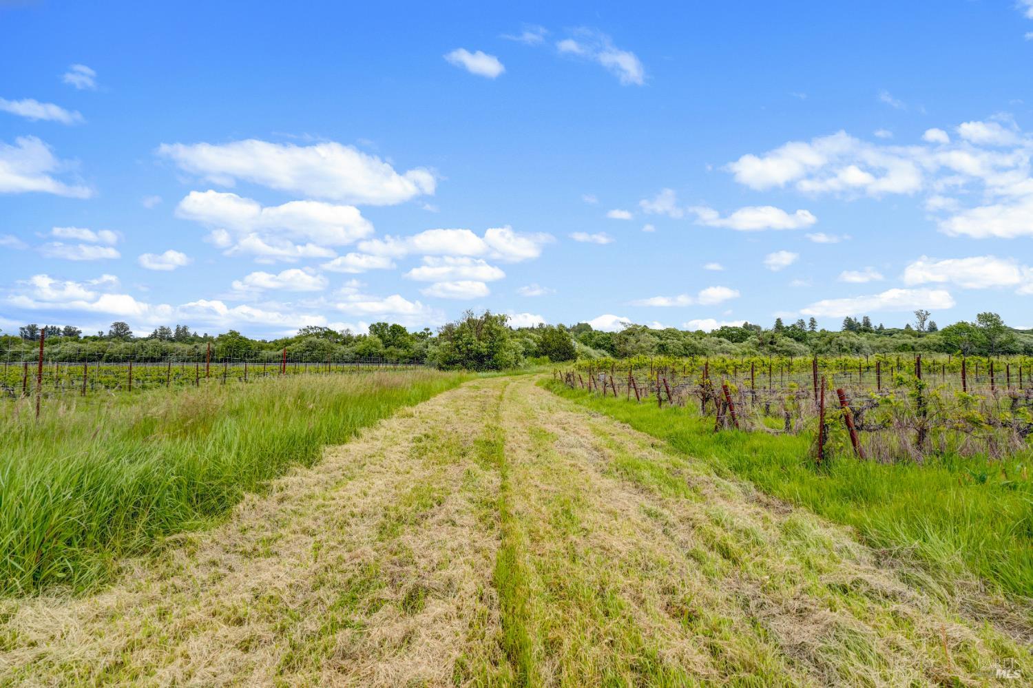 Property photo 51