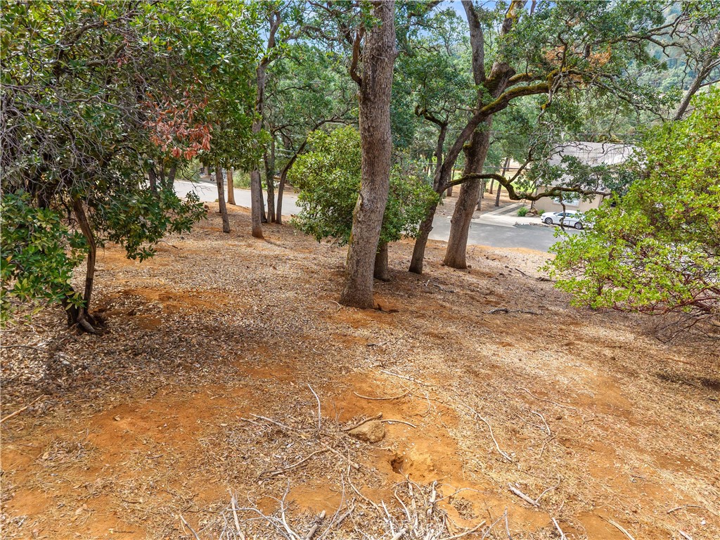 Property photo 23