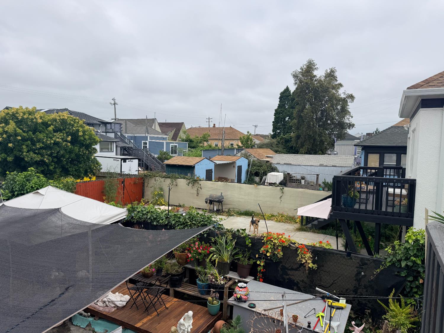 Property photo 20