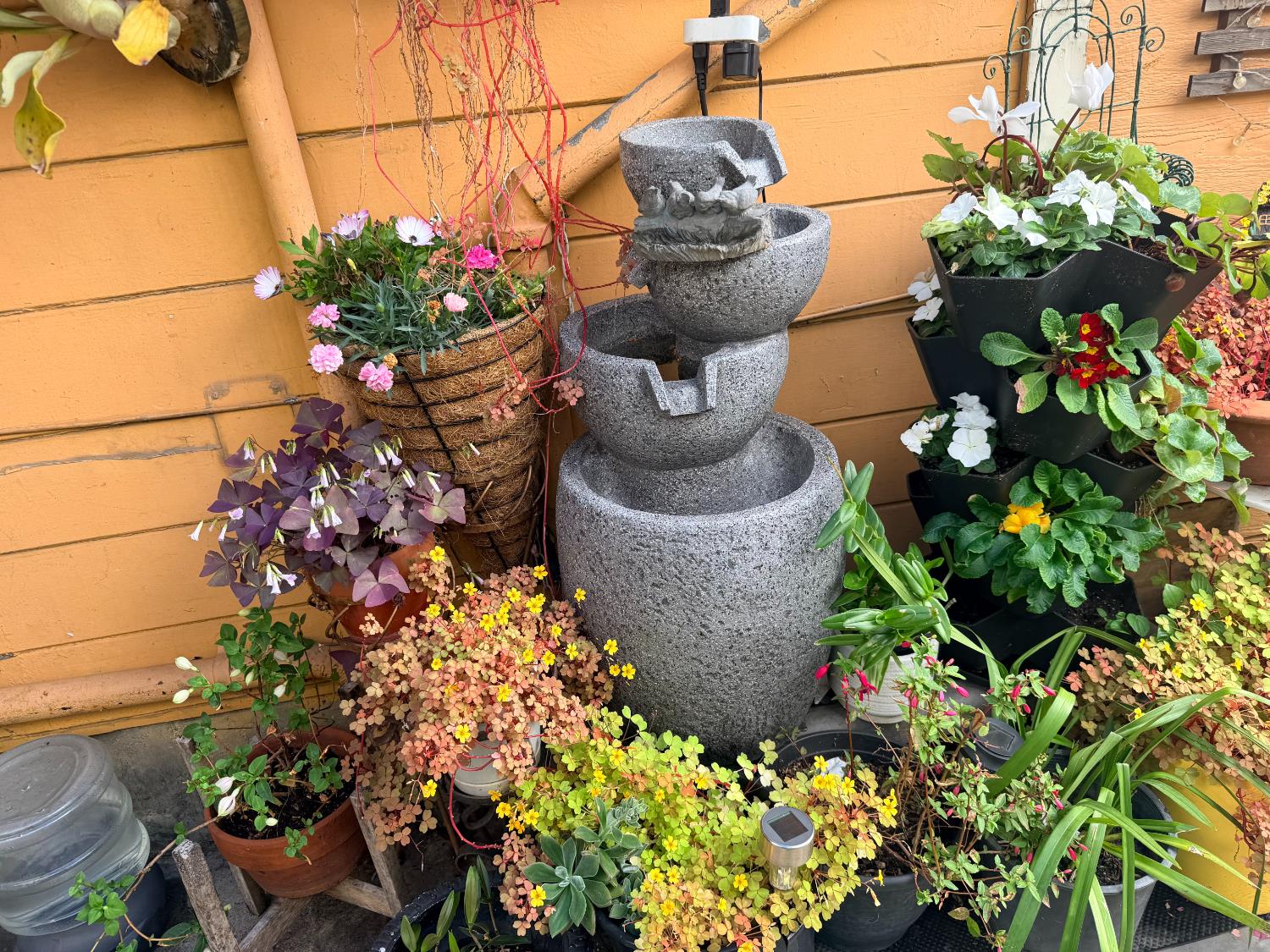 Property photo 23