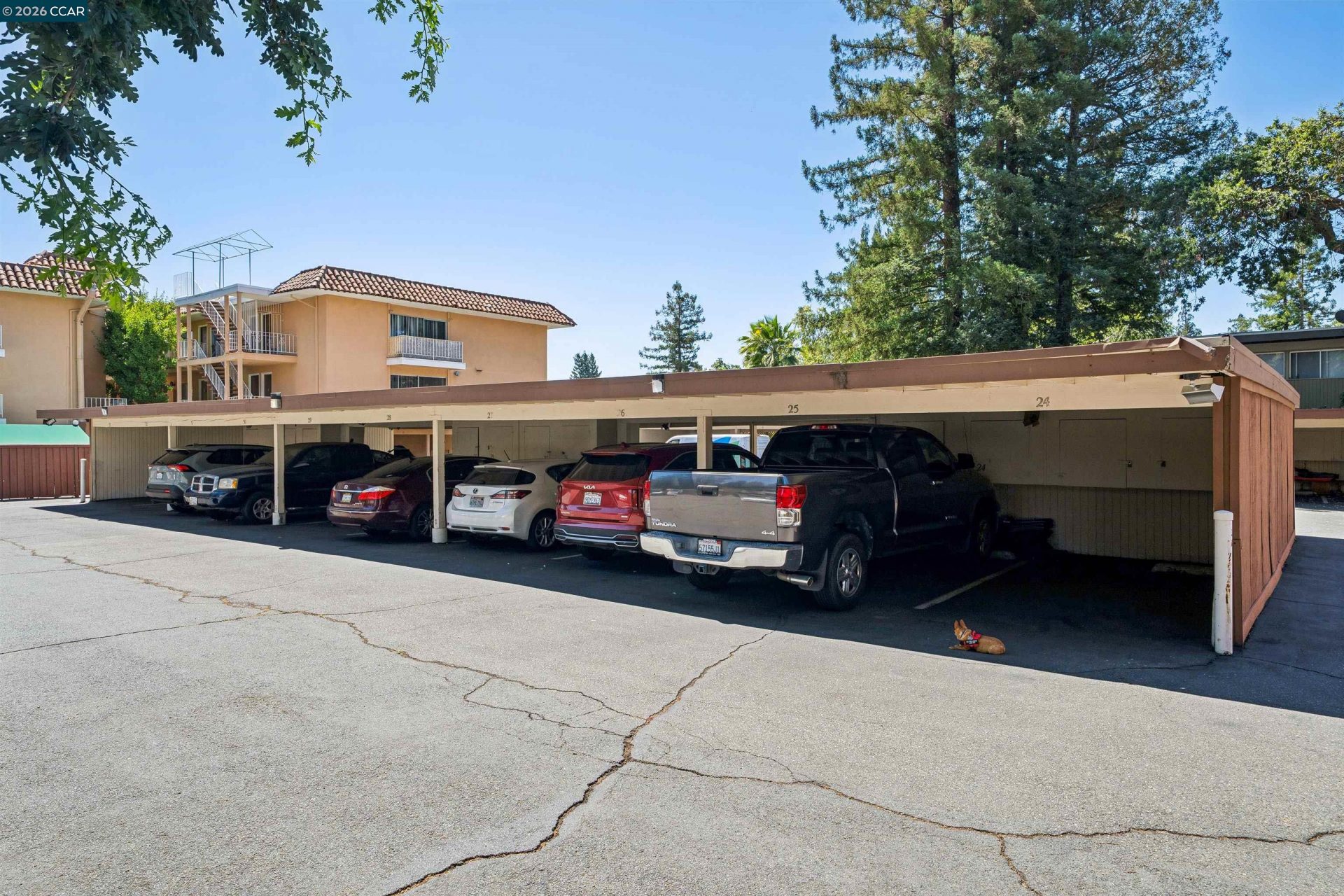 Property photo 26