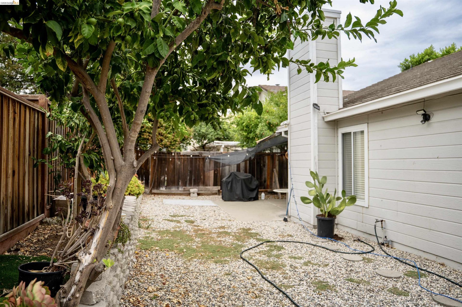Property photo 24