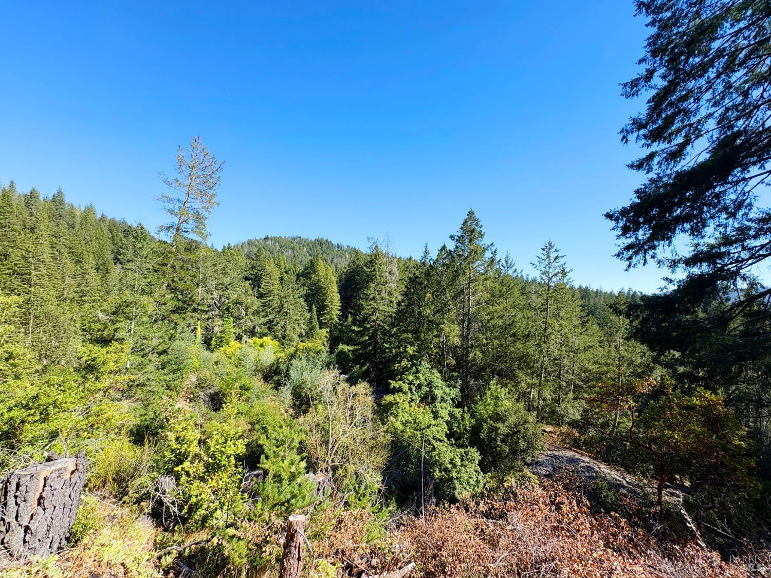 Property photo 43