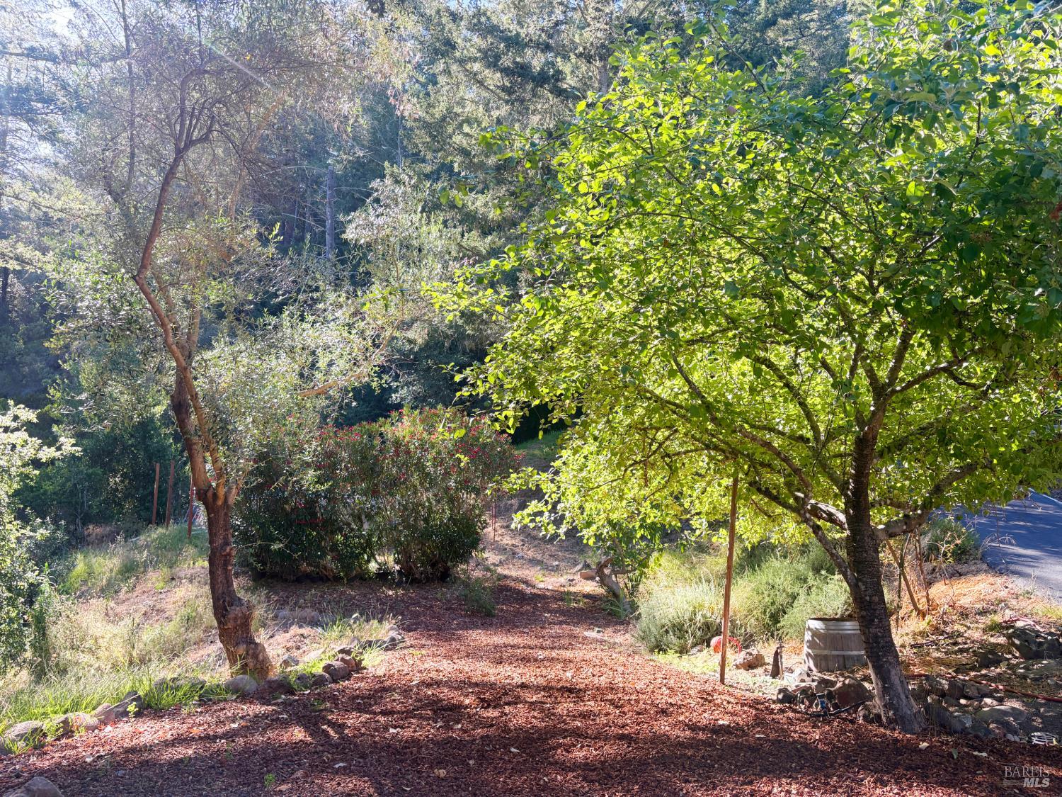 Property photo 44