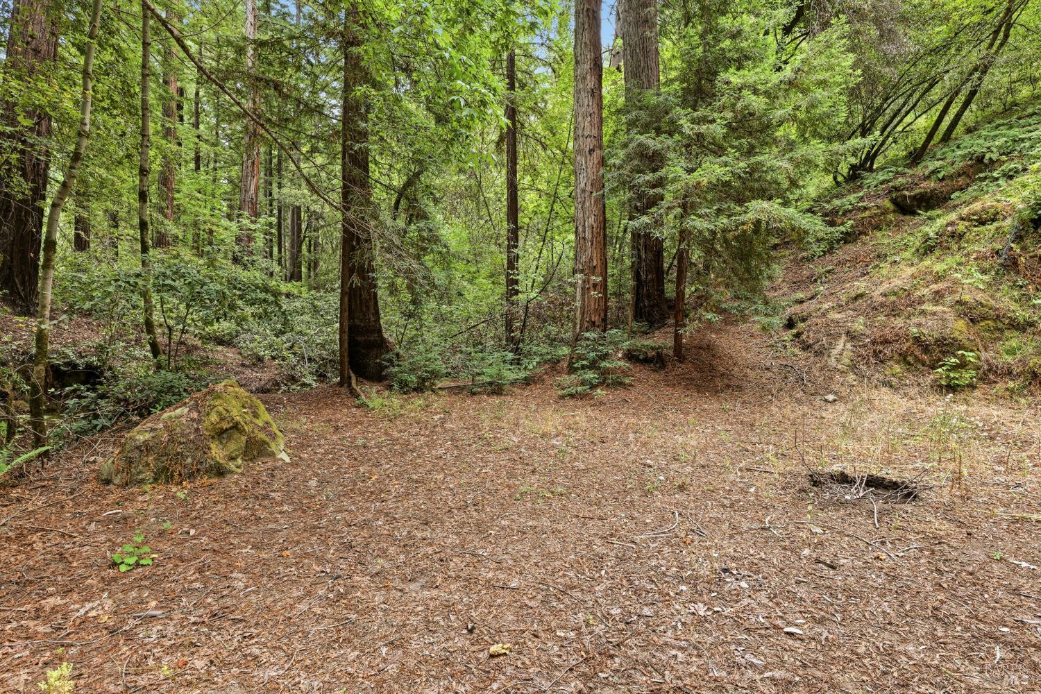 Property photo 41