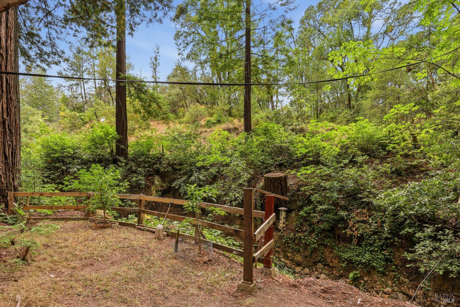 Property photo 45