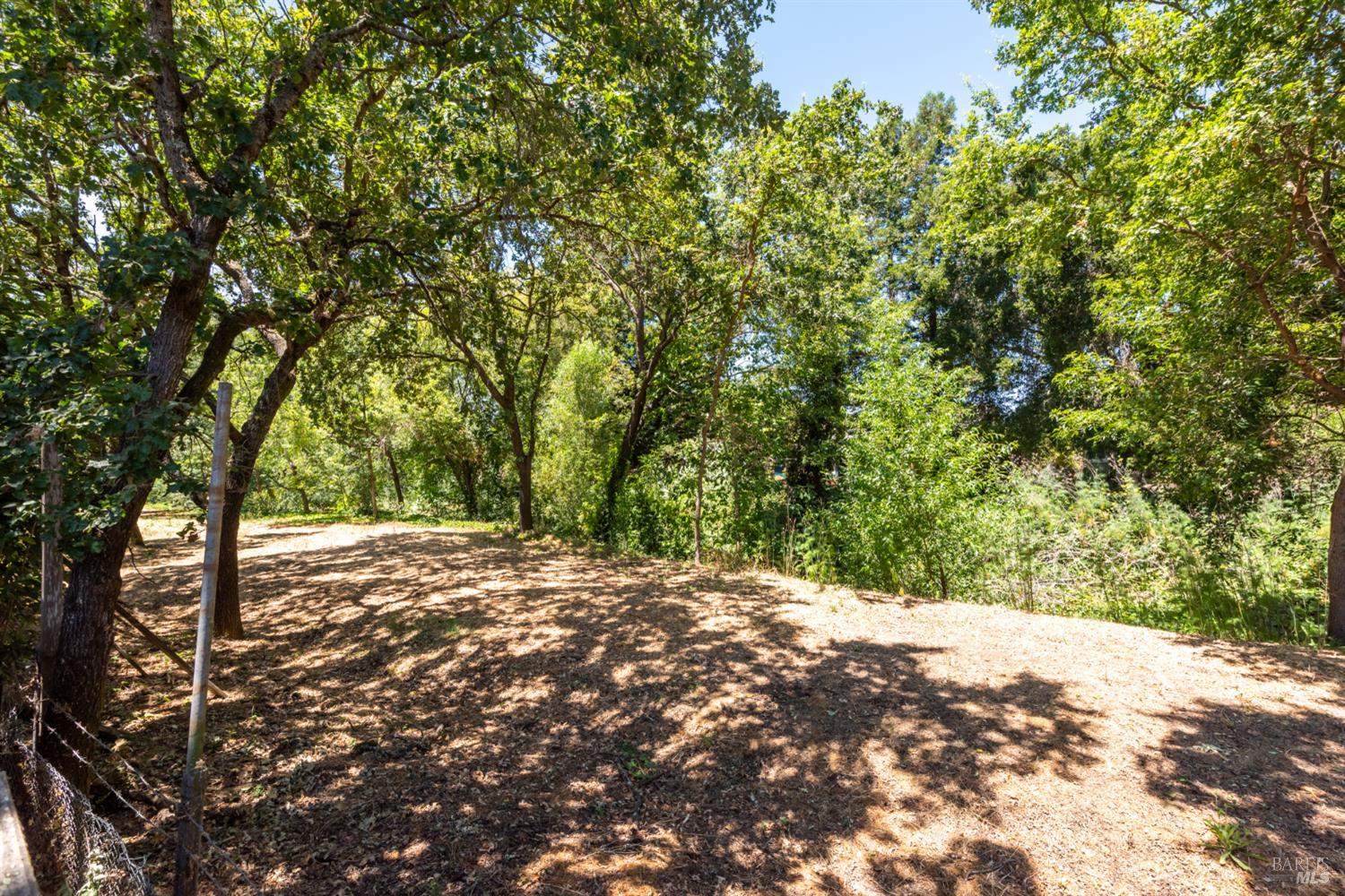 Property photo 38