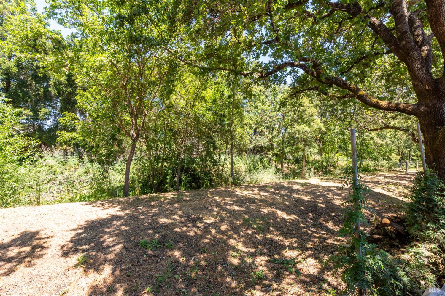 Property photo 39