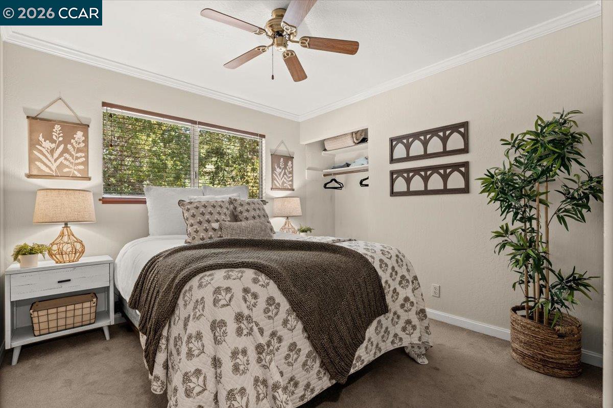 Property photo 49