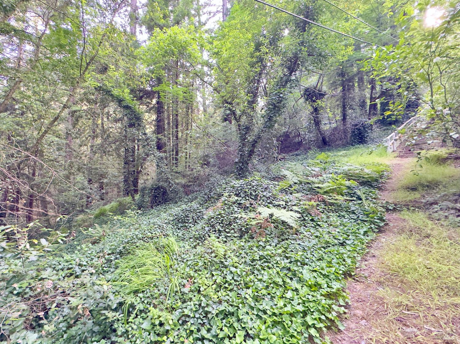 Property photo 35