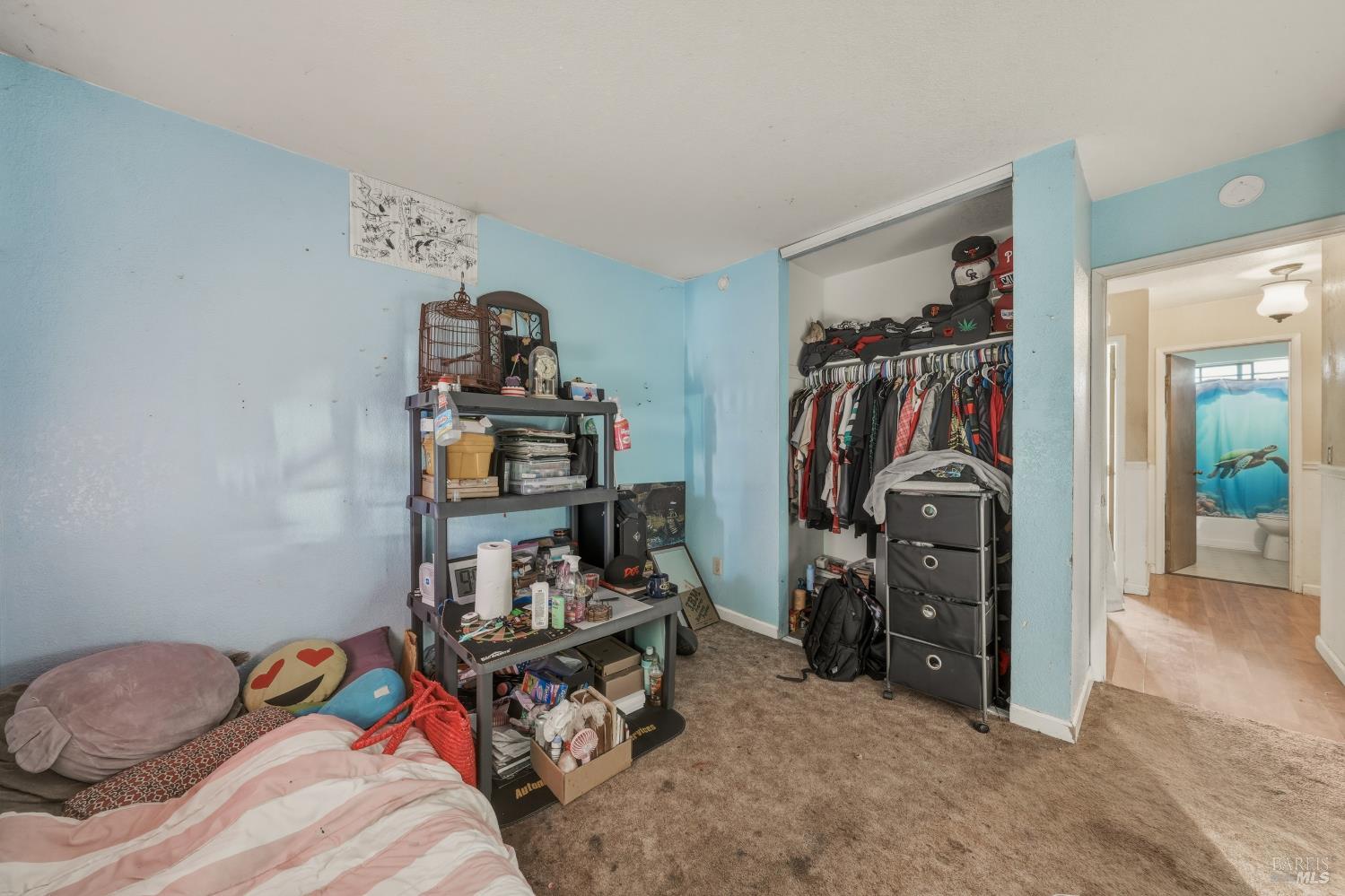Property photo 50