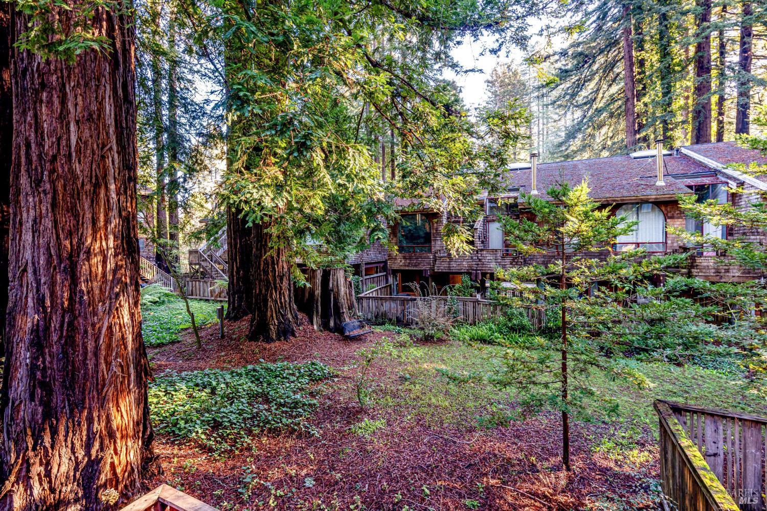 Property photo 43