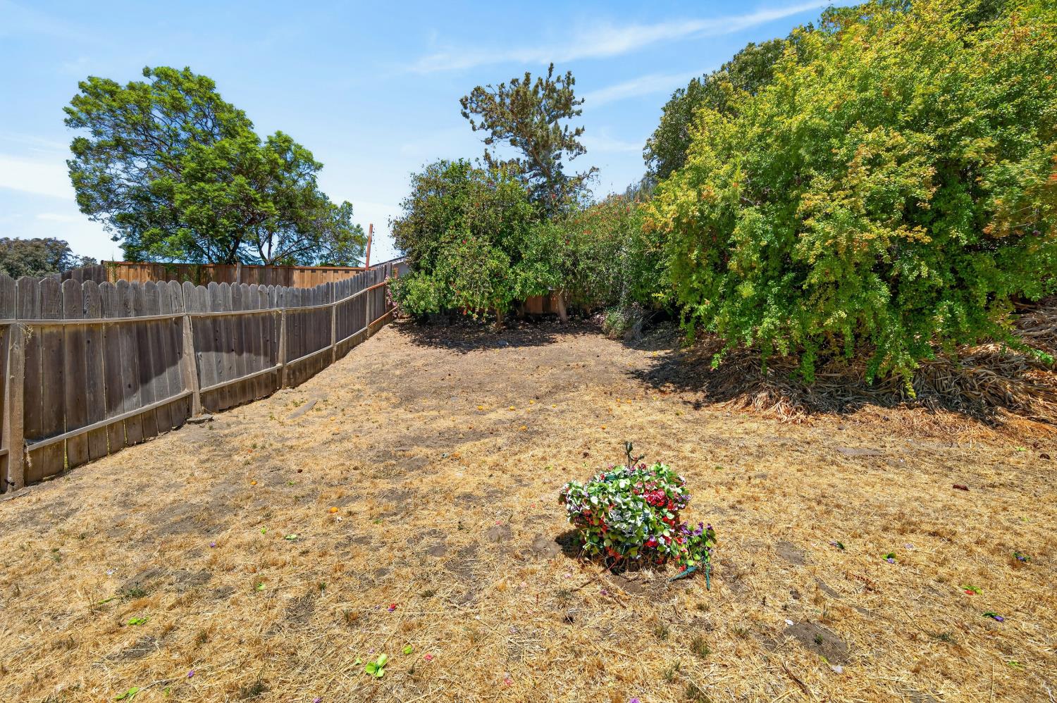 Property photo 47