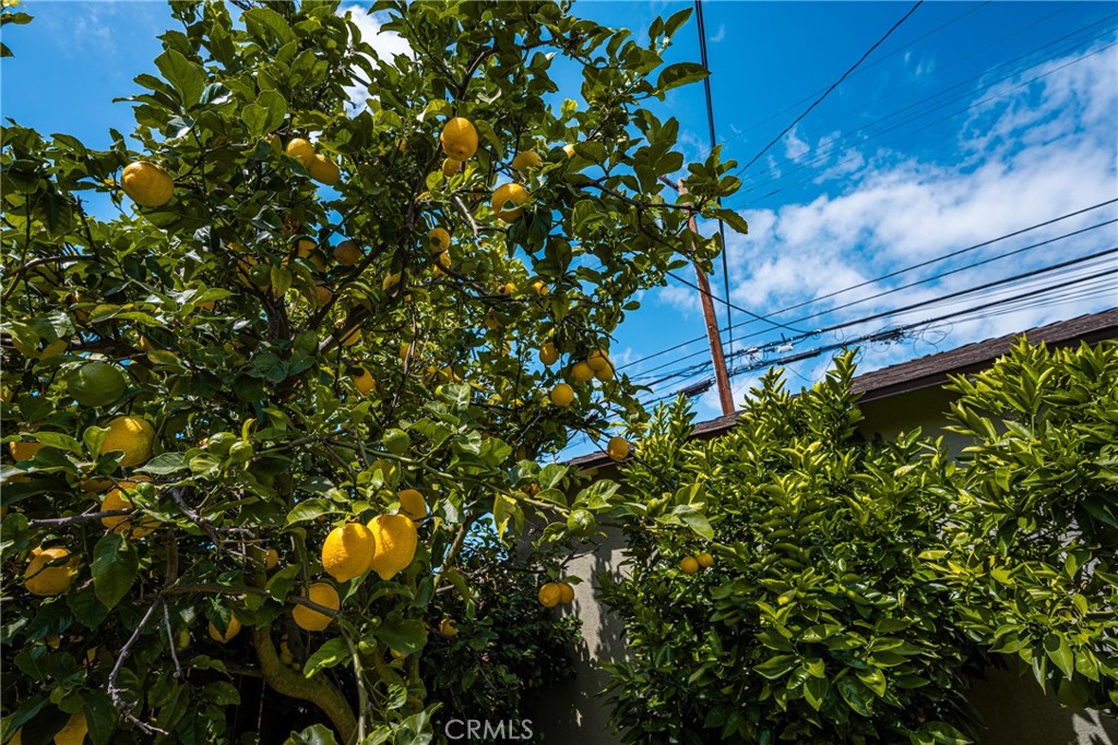 Property photo 50