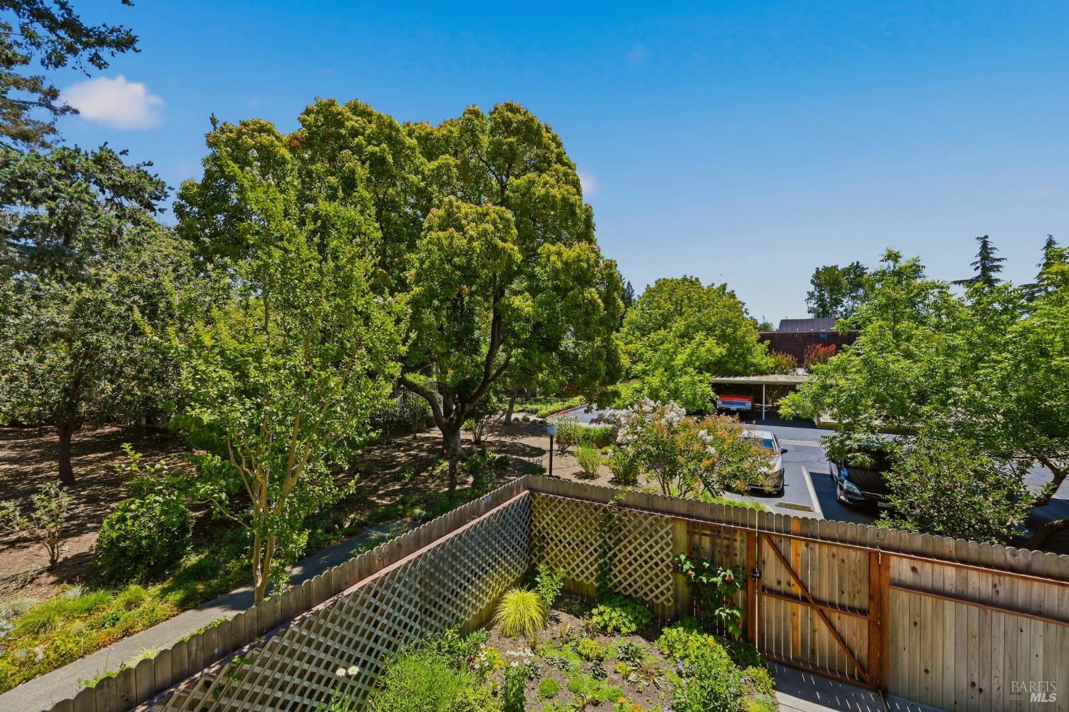 Property photo 44