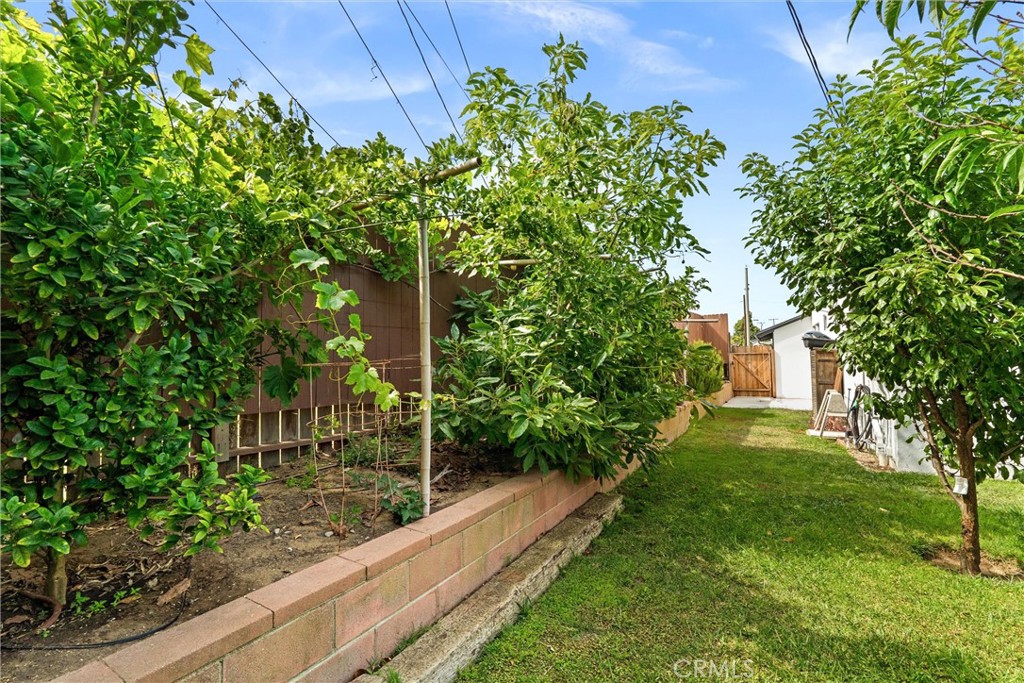 Property photo 39