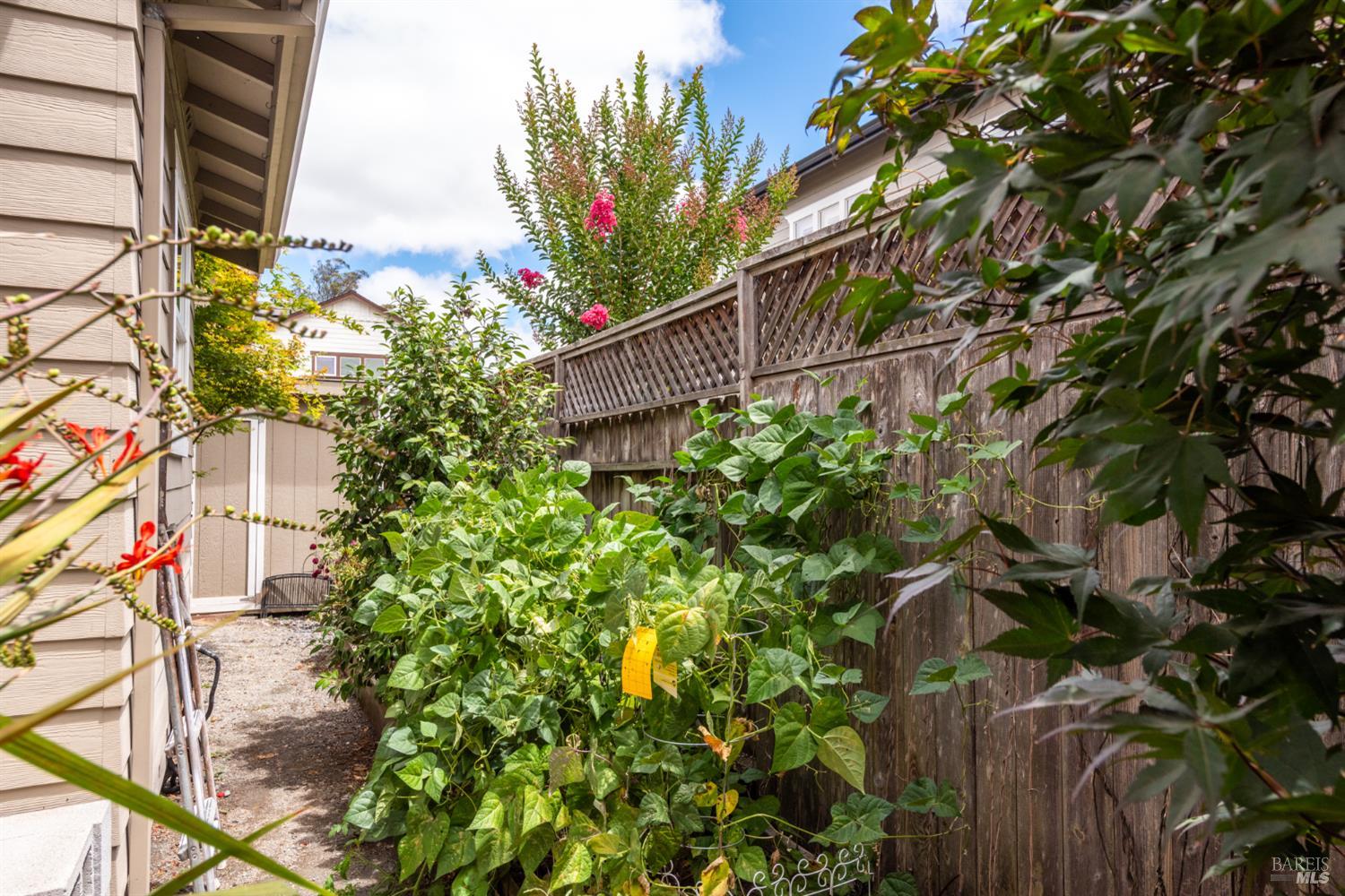 Property photo 50