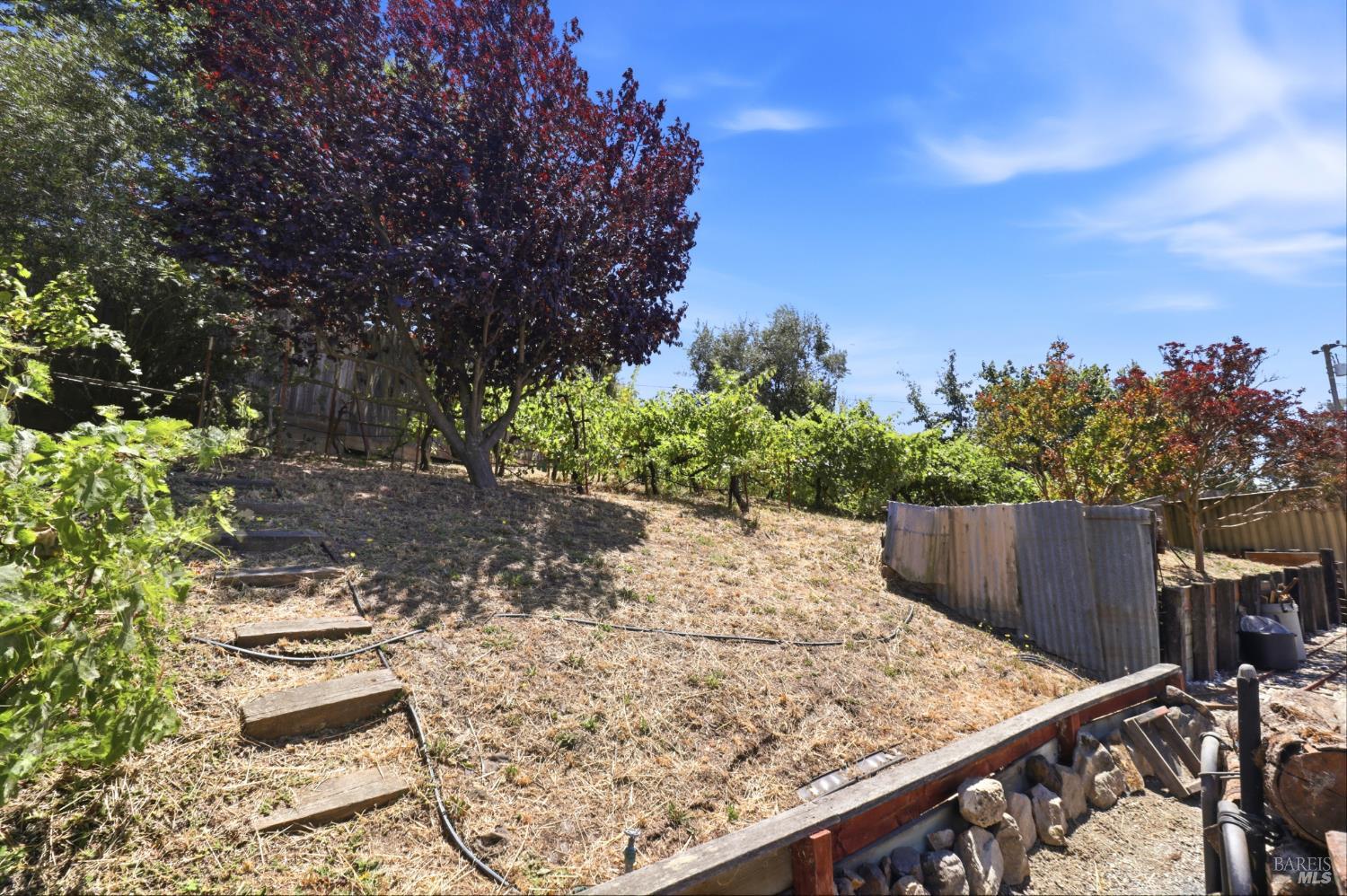 Property photo 39