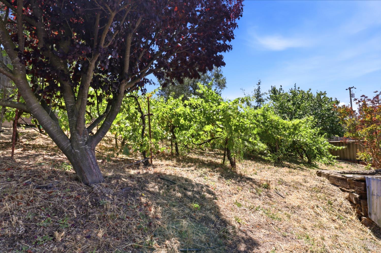 Property photo 40