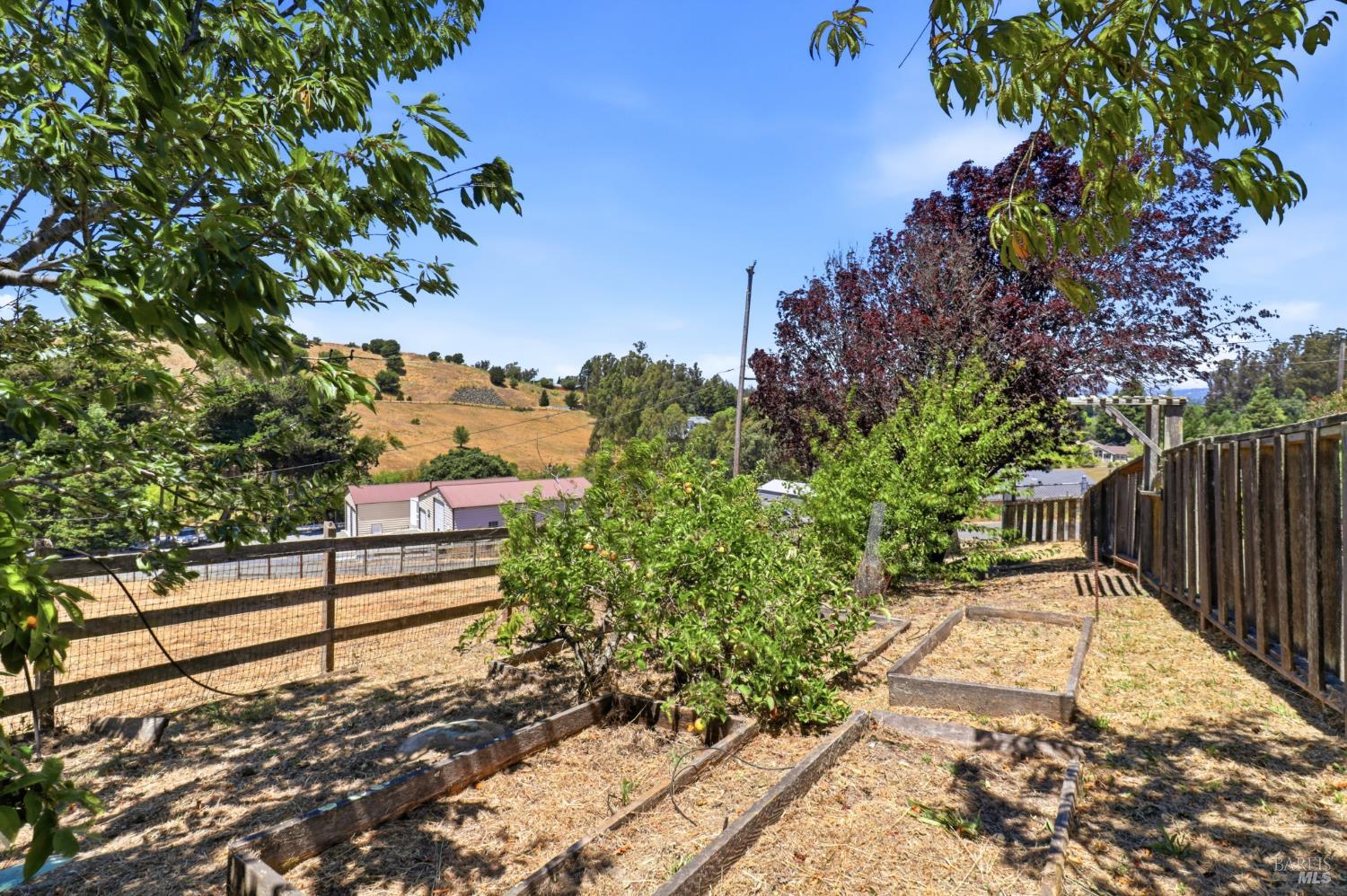 Property photo 44