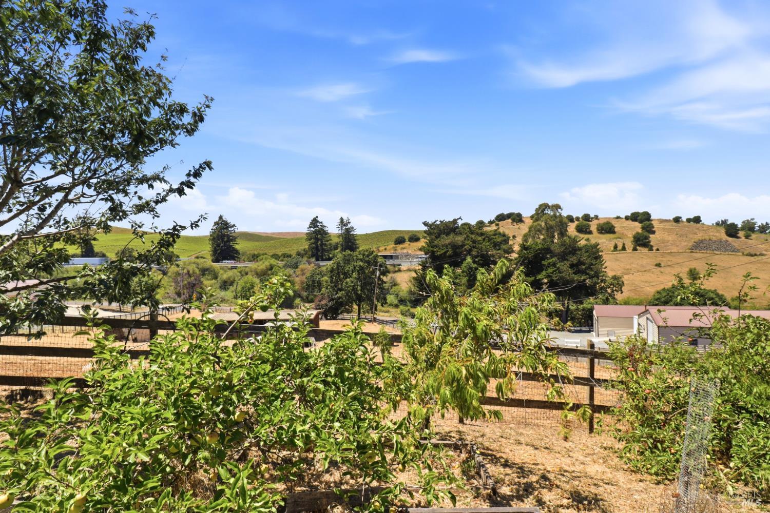 Property photo 45
