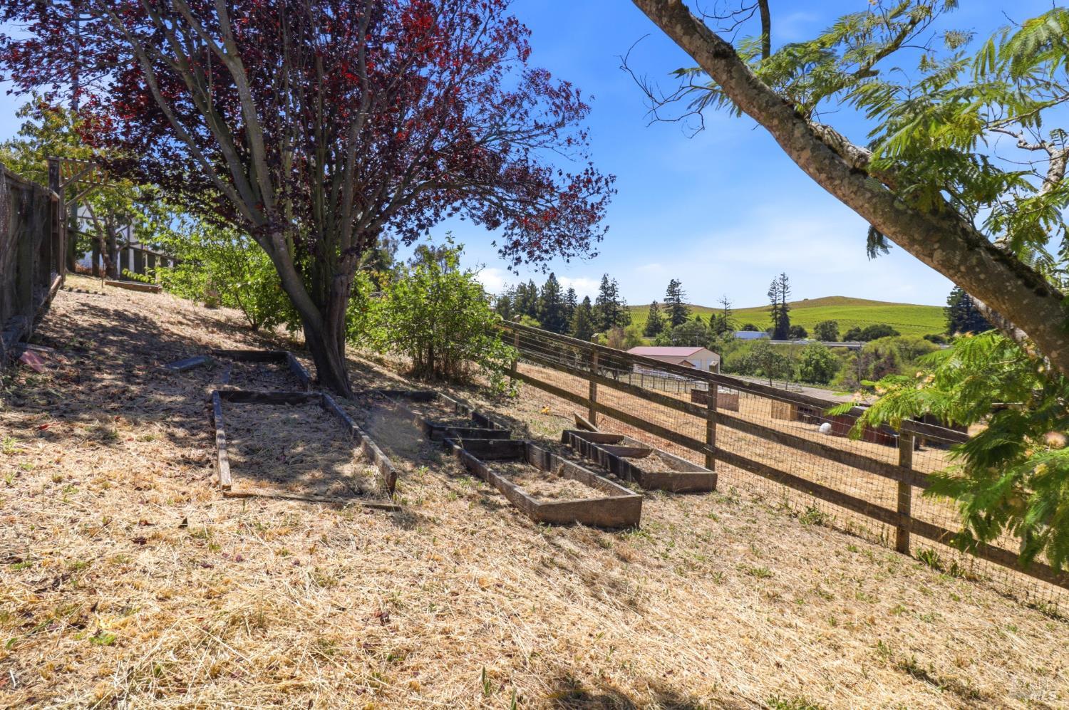 Property photo 46