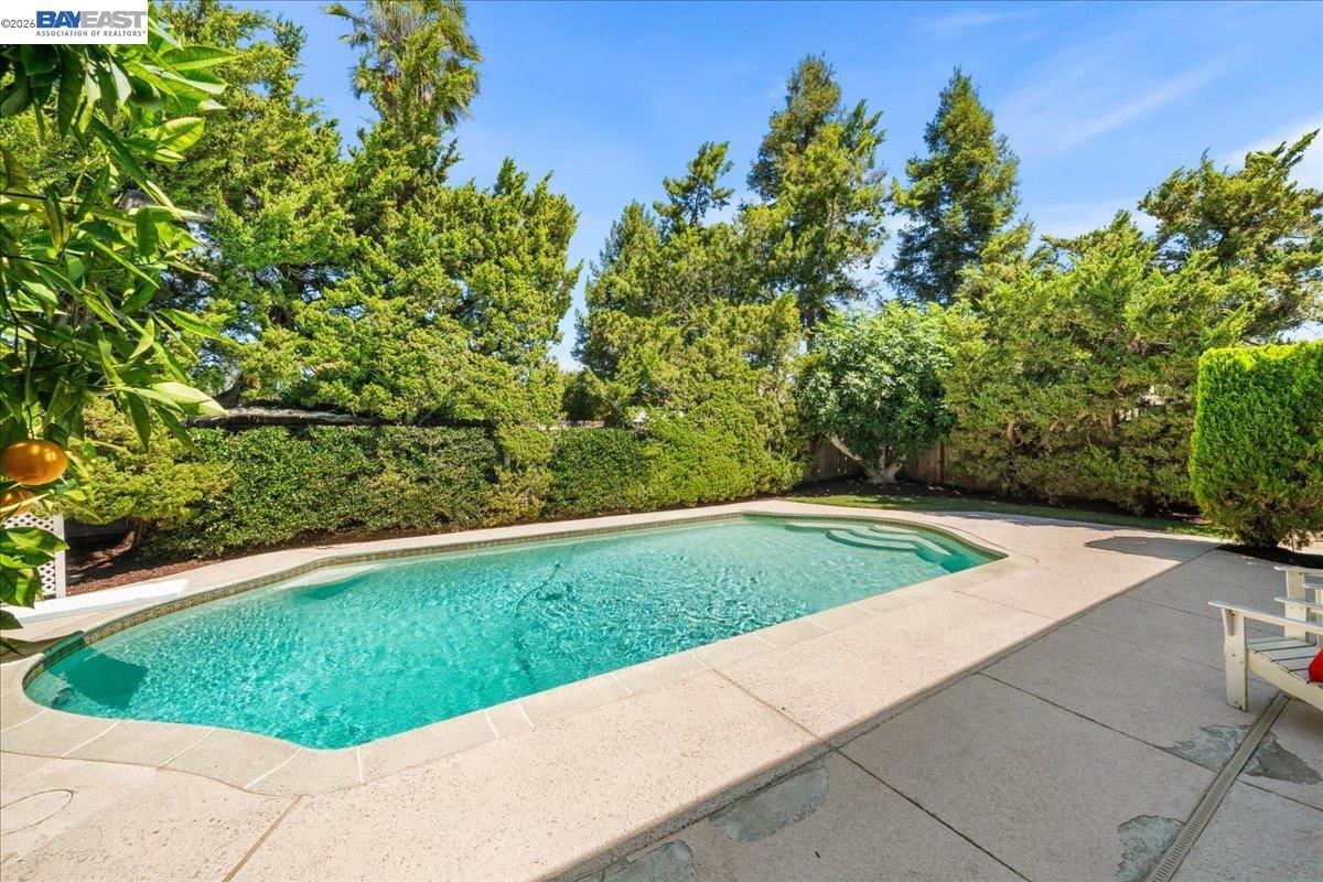 Property photo 47