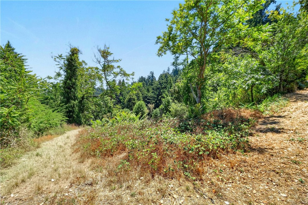 Property photo 18