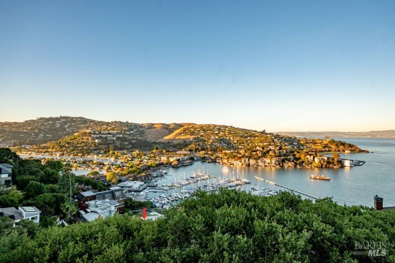 Property photo 44