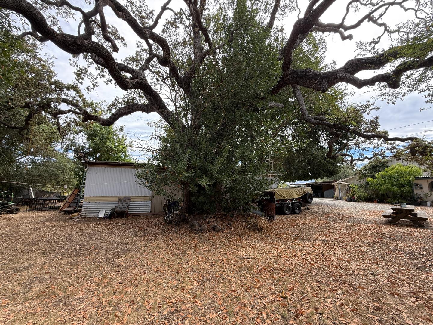 Property photo 21