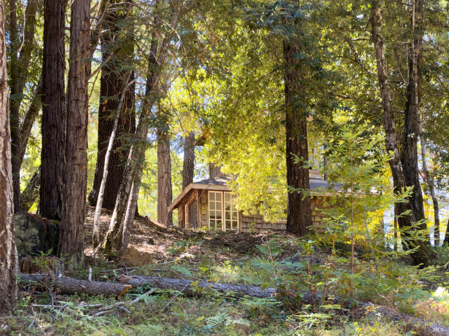 Property photo 19